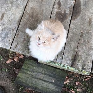 Meet your Posher, Karin