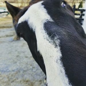 Meet your Posher, Jennae