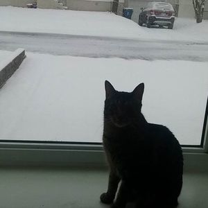 Meet your Posher, Kathy