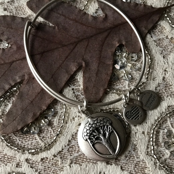 Unexpected Miracles Charm Bangle - Picture 2 of 5