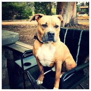 Meet your Posher, Kristy