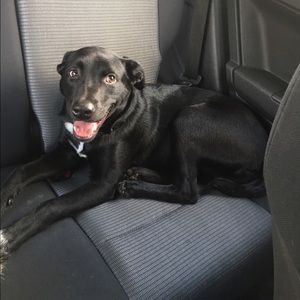 Meet your Posher, Siew