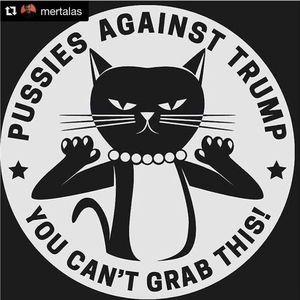 Meet your Posher, Molly