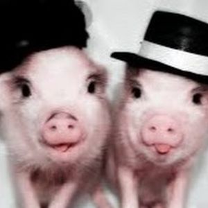 Meet your Posher, Jade