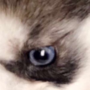 Meet your Posher, Sue