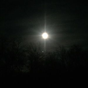 Meet your Posher, Jody