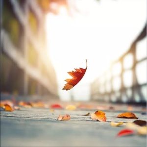 Meet your Posher, Ana