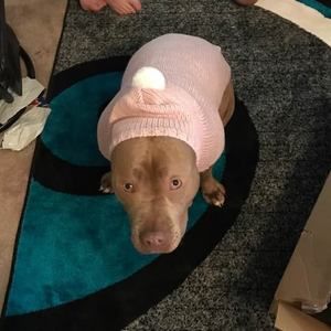 Meet your Posher, Katherine