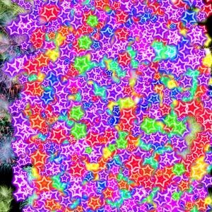 Meet your Posher, Joy