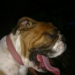 Meet your Posher, Gina