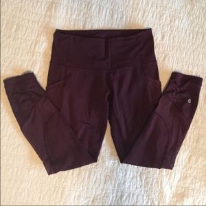 Seek the Heat 23" crops