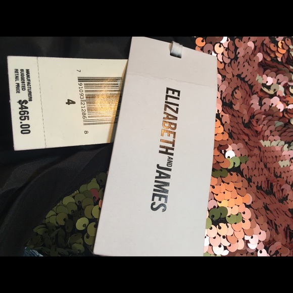 🎉✨ Elizabeth & James Stripe Enez Sequin Dress ✨🎉 - Picture 3 of 3