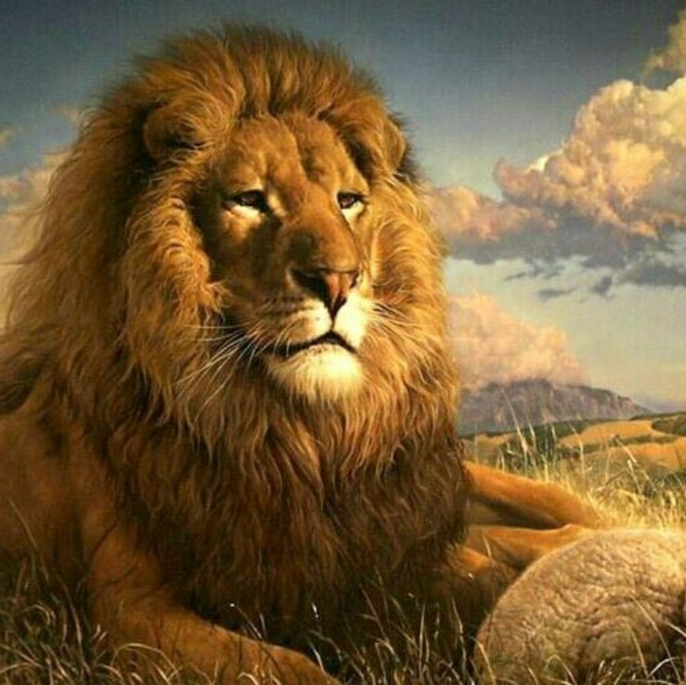 Meet your Posher, Jeovanny