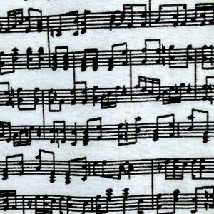 Meet your Posher, Allen