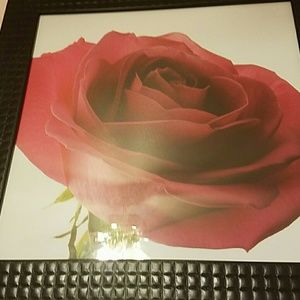 Meet your Posher, Natasha