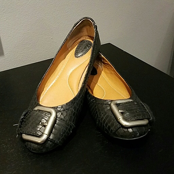 FIVE 💲FRIDAY!... Fossil flats!