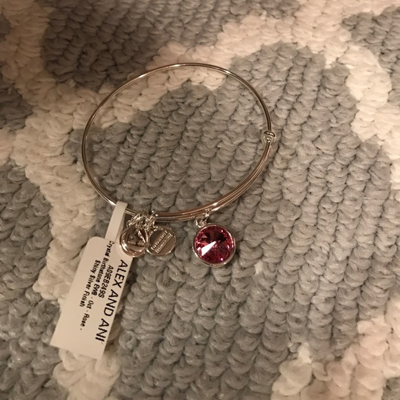 ALEX AND ANI BRACLETTE