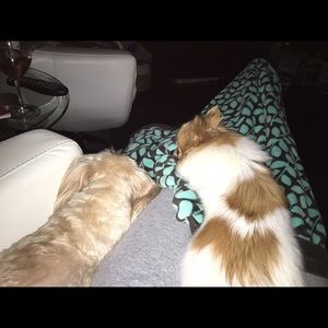 Meet your Posher, Lauren