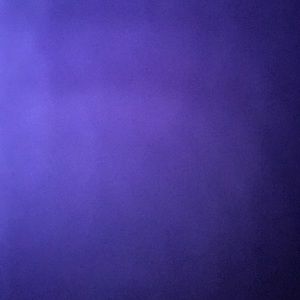 Meet your Posher, Bryan