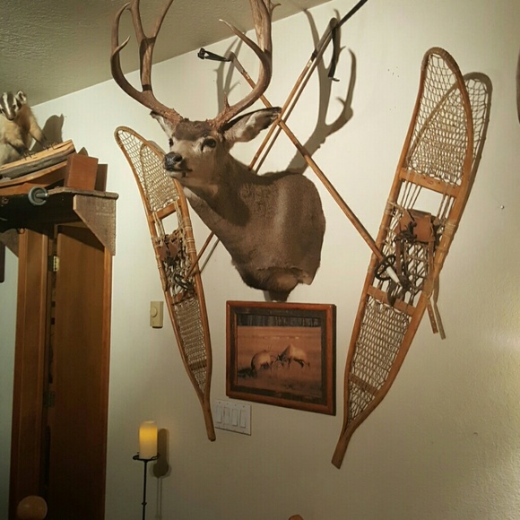 Meet your Posher, Yvon