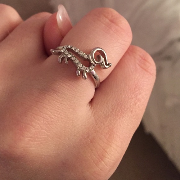 Dog Ring