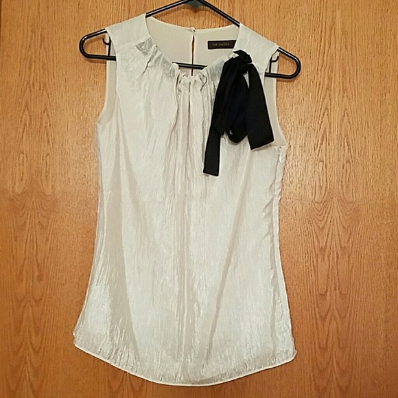 The Limited Champagne Dress Top