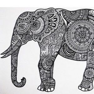 Meet your Posher, Amelia