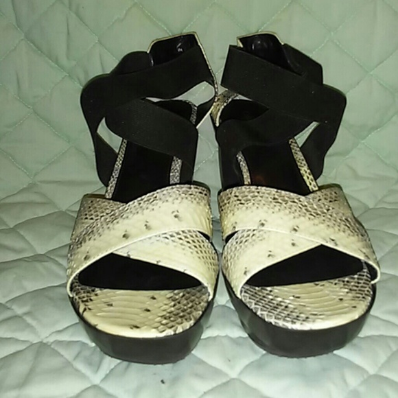 Calvin Klein Yabb Elastic /snake