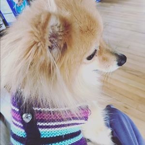 Meet your Posher, Melissa