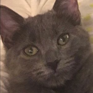 Meet your Posher, Amina