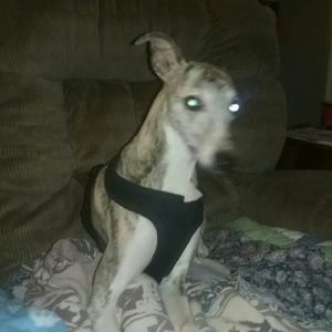 Meet your Posher, Laura