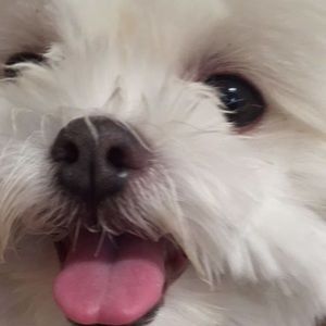 Meet your Posher, Audrey