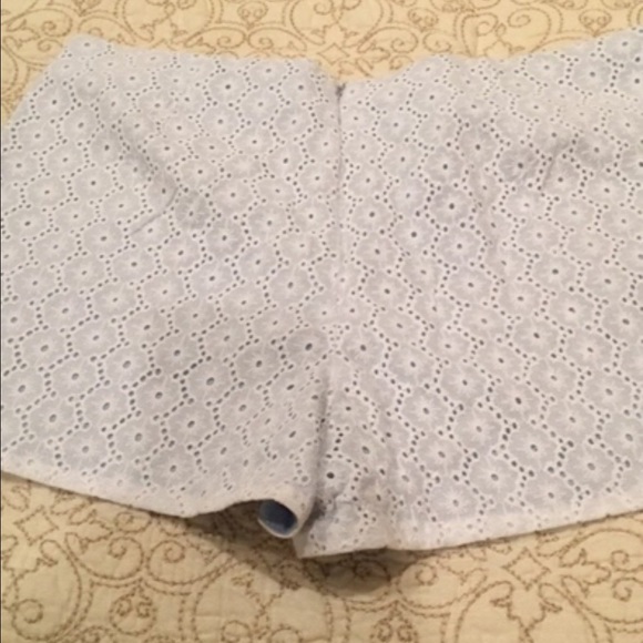 Francesca's Short Shorts - Picture 4 of 4