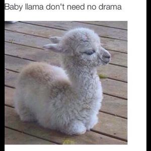 Meet your Posher, Krista