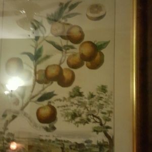 Meet your Posher, Alan