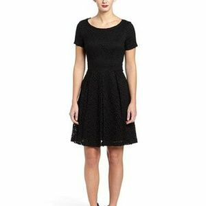 NWT Tahari Glenda lace dress!