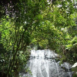 Meet your Posher, Rosetta