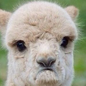 Meet your Posher, Kathryn