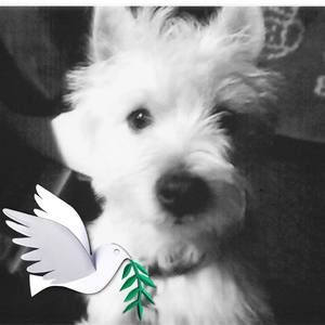 Meet your Posher, Michele