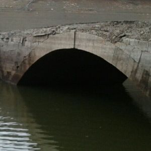 Meet your Posher, Connie