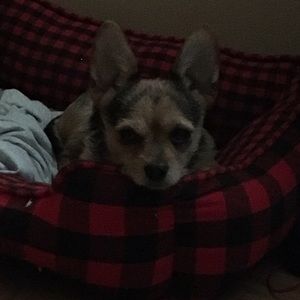 Meet your Posher, Casandra