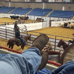 Meet your Posher, P.