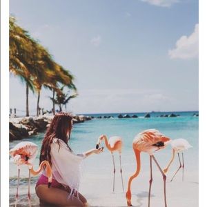 Meet your Posher, Natalie