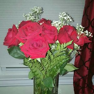 Meet your Posher, Paula