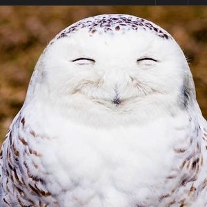 Meet your Posher, Aimee