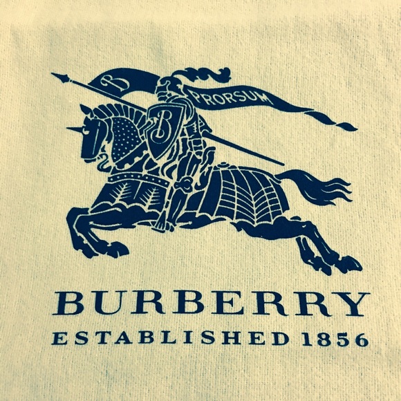 Burberry dust bags 14.50 x 10.25_3