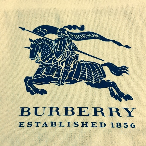 Burberry dust bags 14.50 x 10.25_4