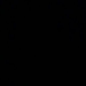 Meet your Posher, Joy