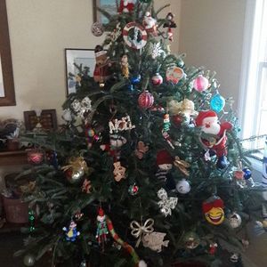 Meet your Posher, Lourdes