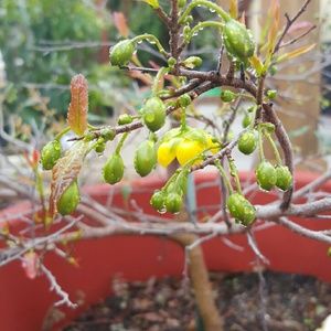 Meet your Posher, Anne